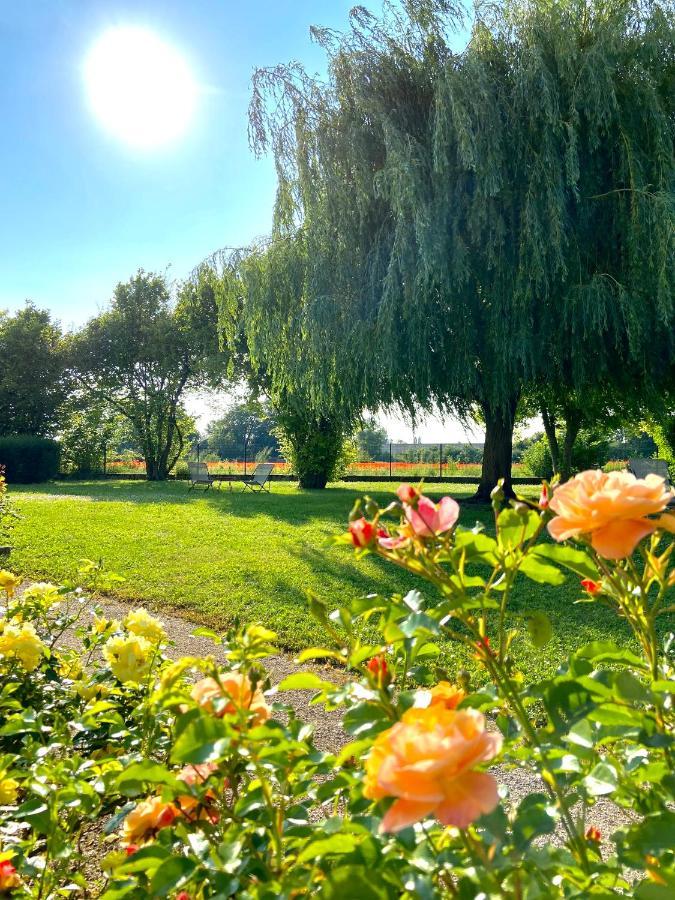 Hotel L'Oree Des Vignes Gilly-lès-Cîteaux Екстериор снимка