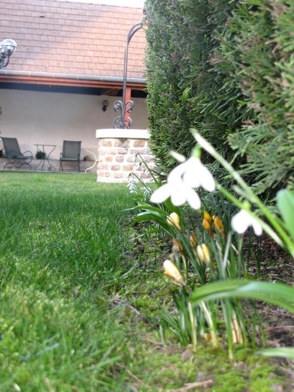 Hotel L'Oree Des Vignes Gilly-lès-Cîteaux Екстериор снимка