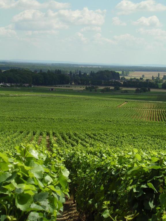 Hotel L'Oree Des Vignes Gilly-lès-Cîteaux Екстериор снимка